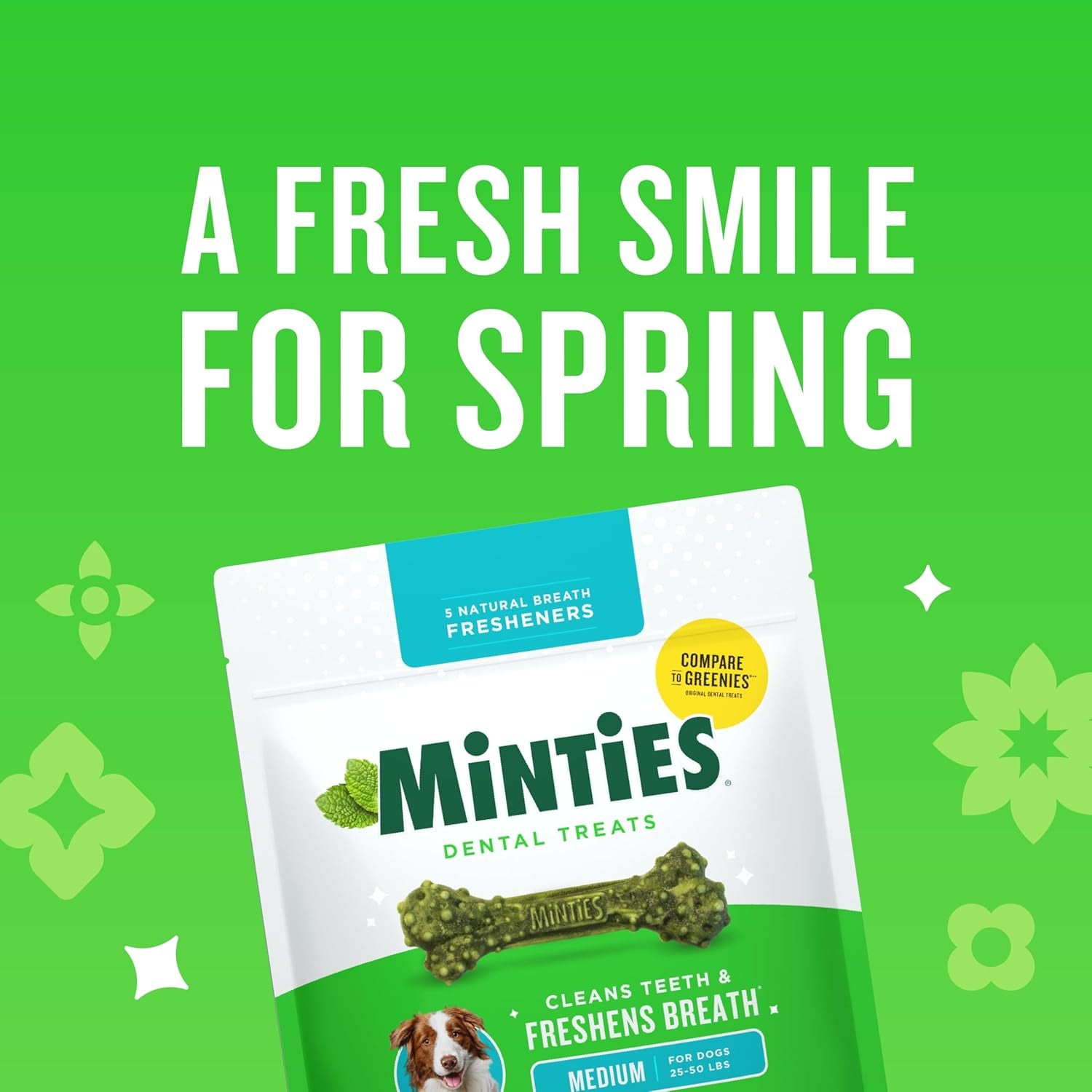 Dental Chews for Dogs - Medium, 16Oz