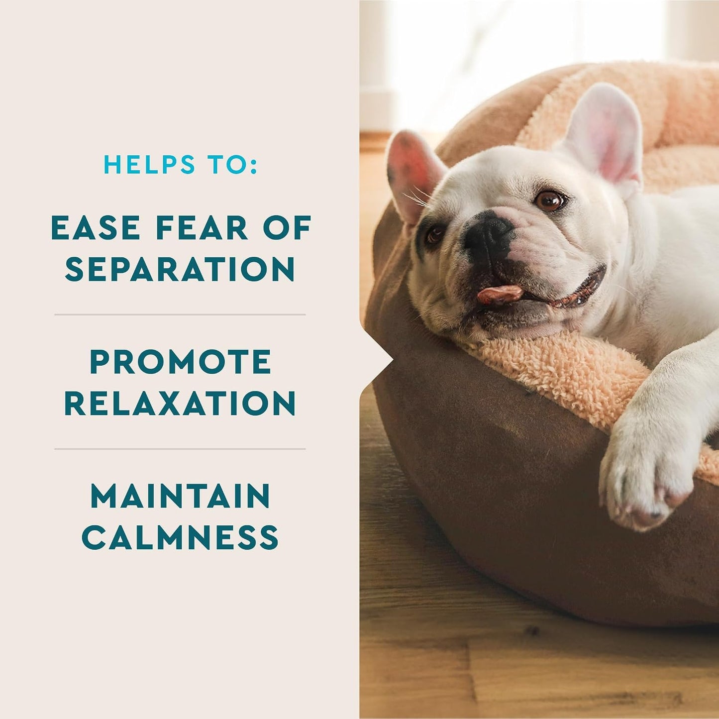 Advanced Calming Chews for Dogs, 60 Count