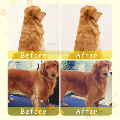 Electric Steam Brush for Cats and Dogs - Soft Silicone Pet Grooming Comb and Hair Remover