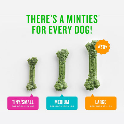 Dental Chews for Dogs - Medium, 16Oz