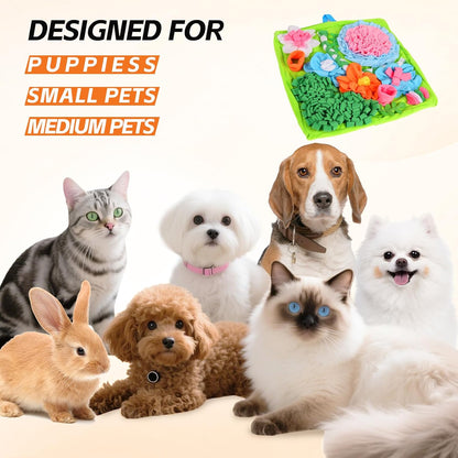 Snuffle Mat for Dogs and Cats, 20x20 in
